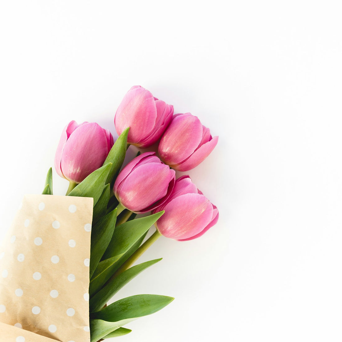 Cadeau fête des mères pas cher avec des tulipes roses simples et touchantes